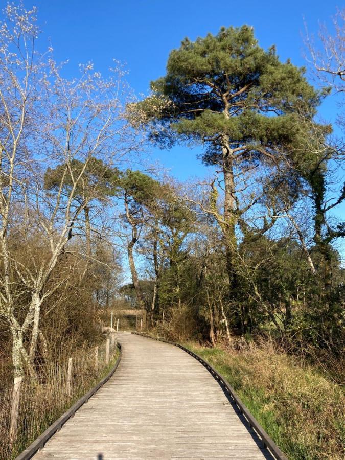 Chambre D'Hotes Douce Heure De Chene Plescop Eksteriør billede